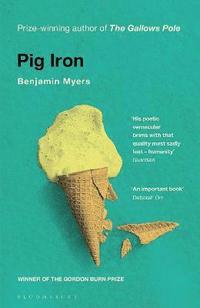 bokomslag Pig Iron