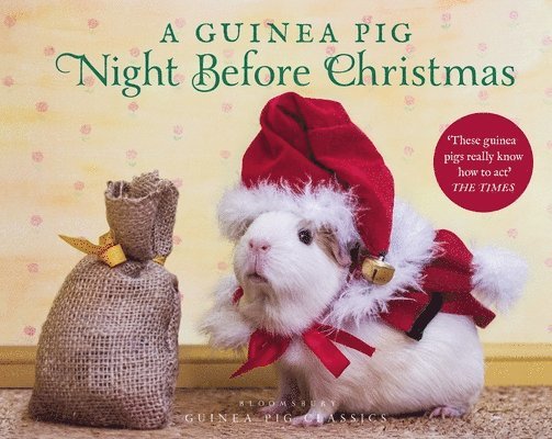 Clement Clarke Moore, Tess Newall - Guinea Pig Night Before Christmas, Inbunden