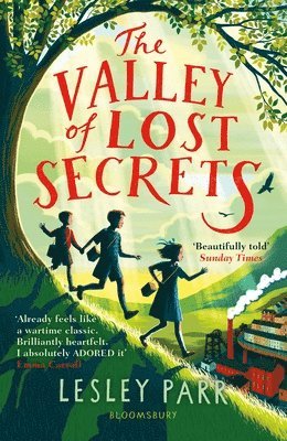 bokomslag Valley of Lost Secrets