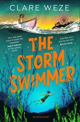 bokomslag Storm Swimmer
