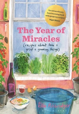 The Year of Miracles 1