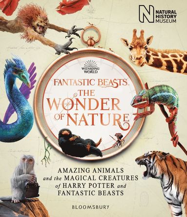 bokomslag Fantastic Beasts: The Wonder of Nature