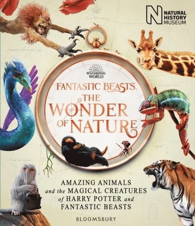bokomslag Fantastic Beasts: The Wonder of Nature