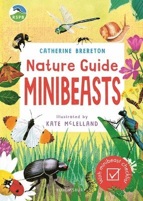 RSPB Nature Guide: Minibeasts 1