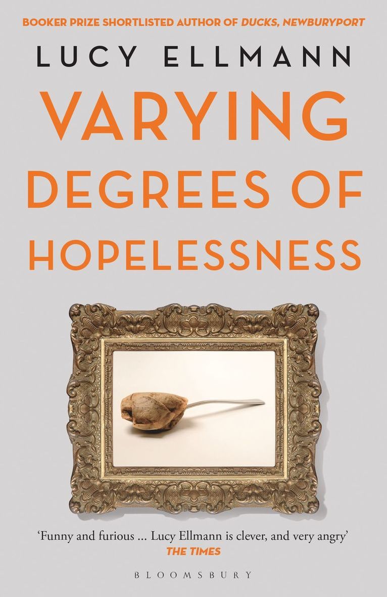 Lucy Ellmann - Varying Degrees of Hopelessness, Häftad