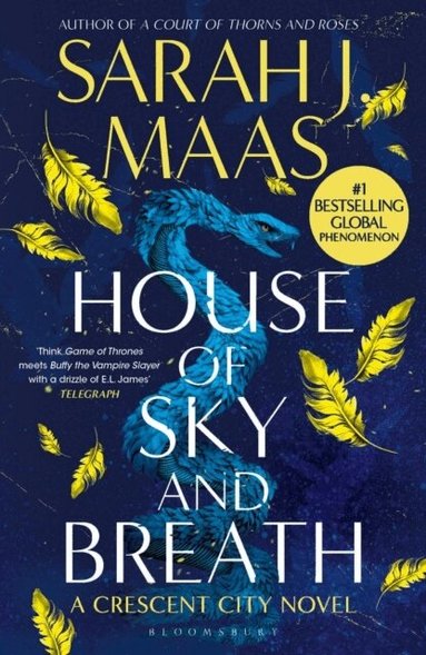 Sarah J. Maas - House of Sky and Breath, Häftad