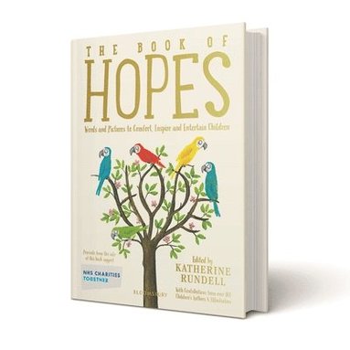 bokomslag The Book of Hopes