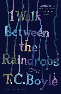 I Walk Between the Raindrops 1