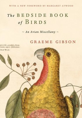 bokomslag Bedside Book of Birds