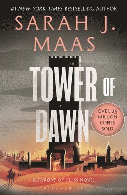 bokomslag Tower of Dawn
