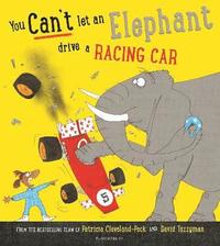 bokomslag You Can't Let an Elephant Drive a Racing Car