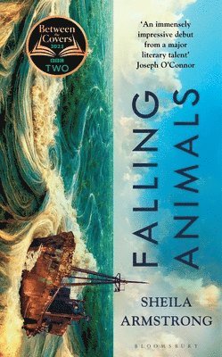 bokomslag Falling Animals