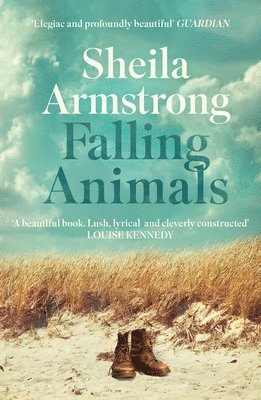 bokomslag Falling Animals