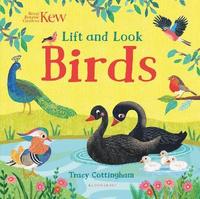 bokomslag Kew: Lift and Look Birds