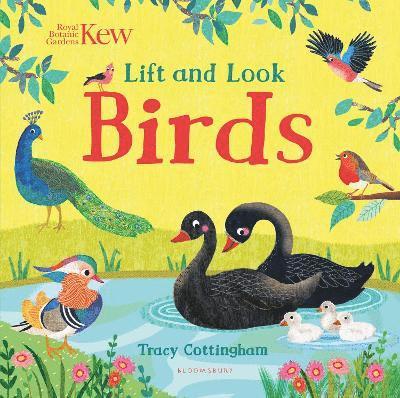 Kew: Lift and Look Birds 1