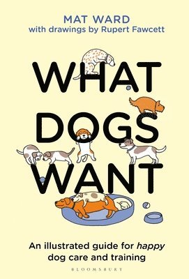 Mat Ward - What Dogs Want, Inbunden