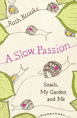 Slow Passion 1