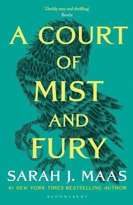 bokomslag Court Of Mist And Fury