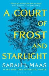 bokomslag Court Of Frost And Starlight