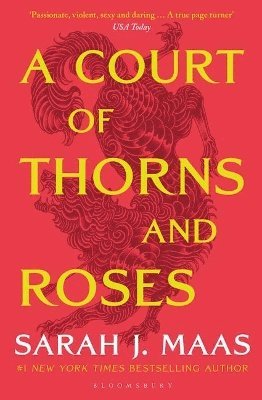 bokomslag Court Of Thorns And Roses