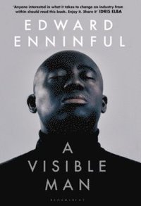 bokomslag A Visible Man