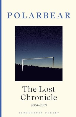 bokomslag Lost Chronicle