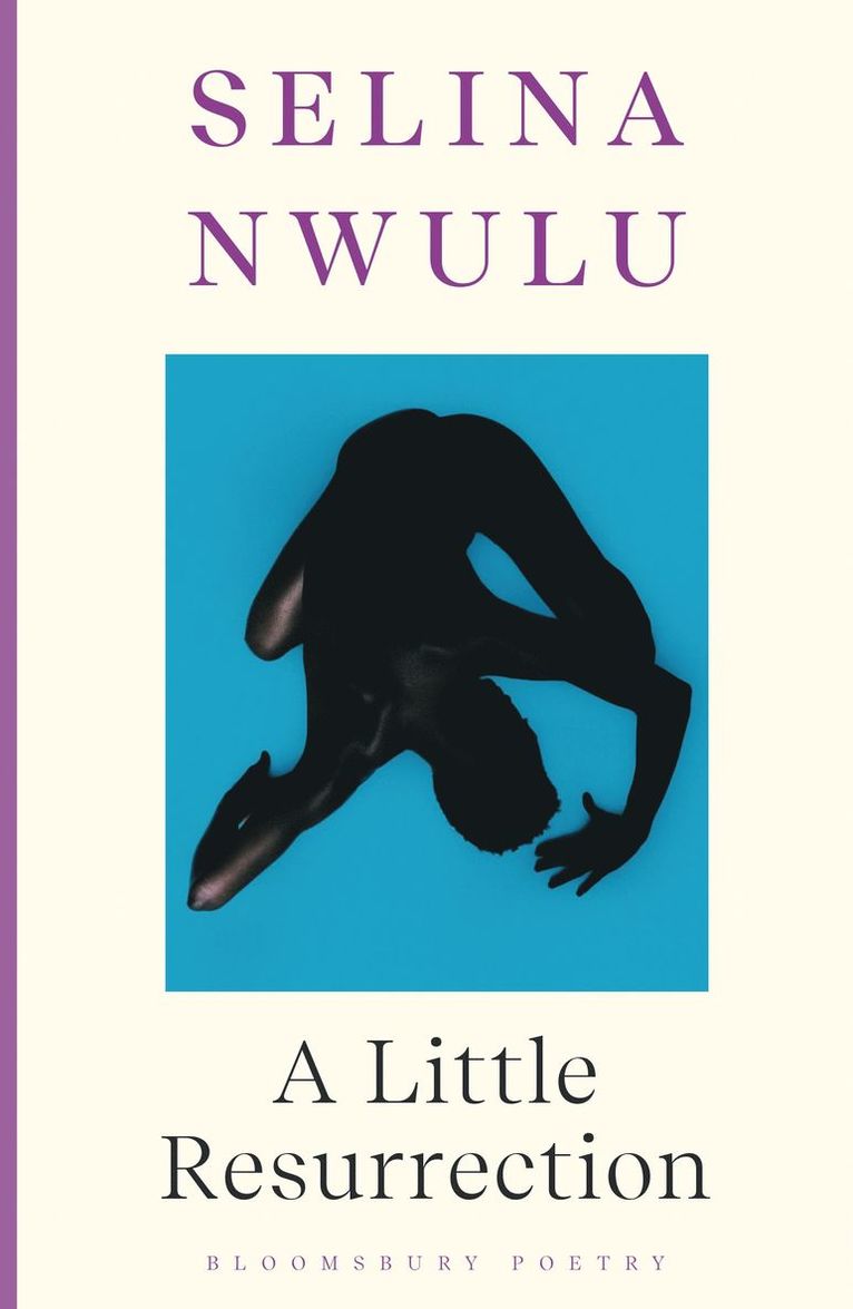 Selina Nwulu - Little Resurrection, Häftad