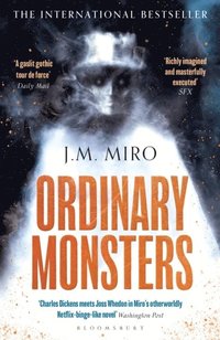 bokomslag Ordinary Monsters