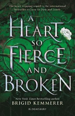 Brigid Kemmerer - Heart So Fierce and Broken, Häftad