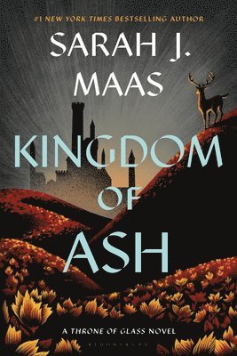 bokomslag Kingdom Of Ash