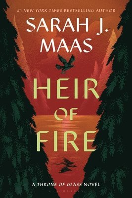 bokomslag Heir Of Fire