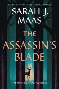 bokomslag Assassin's Blade