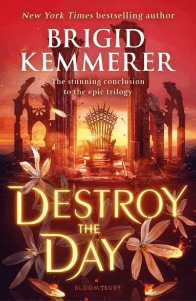 Brigid Kemmerer - Destroy the Day, Häftad