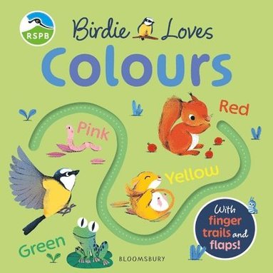 bokomslag RSPB Birdie Loves Colours