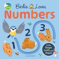 bokomslag RSPB Birdie Loves Numbers
