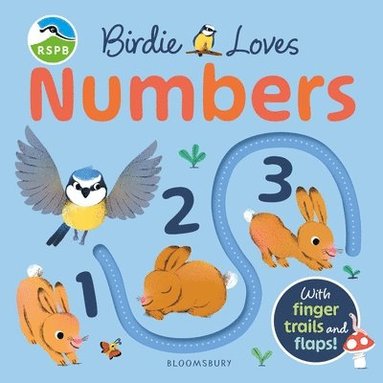 bokomslag RSPB Birdie Loves Numbers