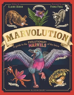 Marvolution