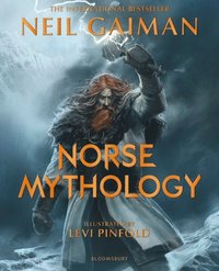 bokomslag Norse Mythology Illustrated