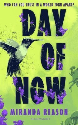 bokomslag Day of Now