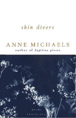 Skin Divers 1