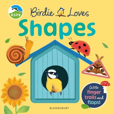 RSPB - RSPB Birdie Loves Shapes, Kartonnage