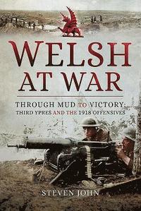 bokomslag Welsh at War