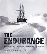 bokomslag Endurance