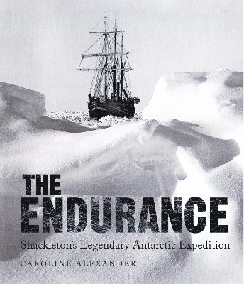 bokomslag Endurance