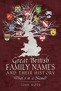 bokomslag Great British Family Names and Their History