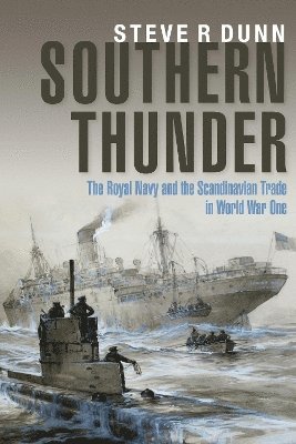 bokomslag Southern Thunder