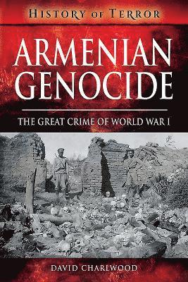 bokomslag Armenian Genocide