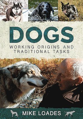 Mike Loades - Dogs: Working Origins and Traditional Tasks, Inbunden