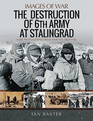 bokomslag Destruction of 6th Army at Stalingrad