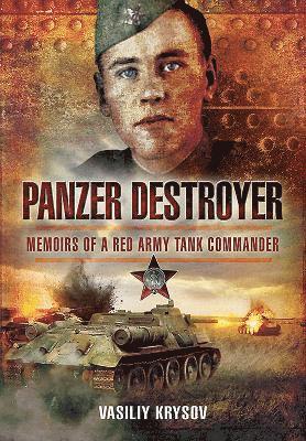 bokomslag Panzer Destroyer - SHORT RUN RE-ISSUE